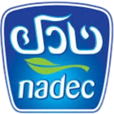 7.webp